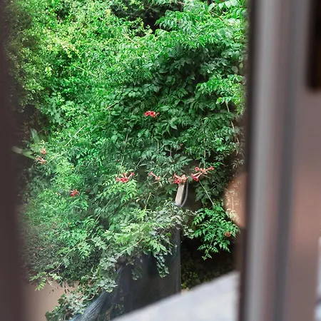 Giuliny Lovely Flat - The House Of Travelers